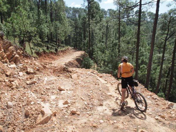 Uttarakhand Resort Каусани Екстериор снимка