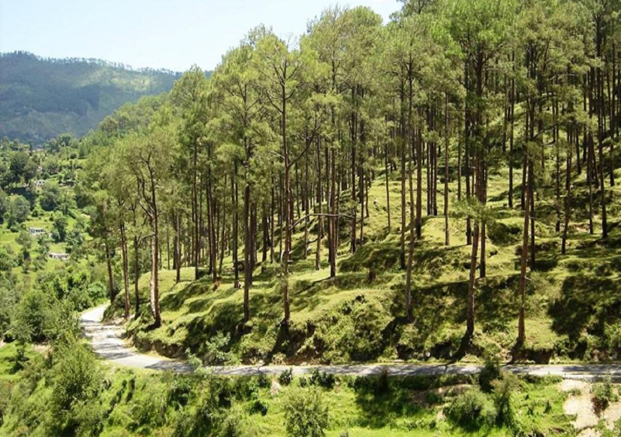 Uttarakhand Resort Каусани Екстериор снимка